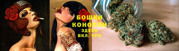 стафф Коряжма