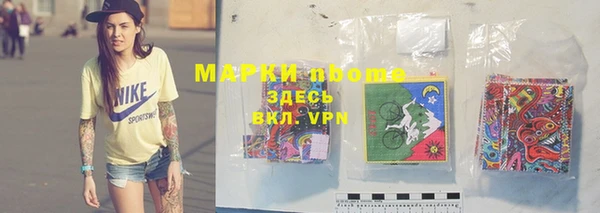 стафф Коряжма