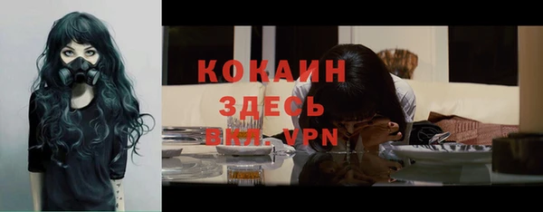 стафф Коряжма