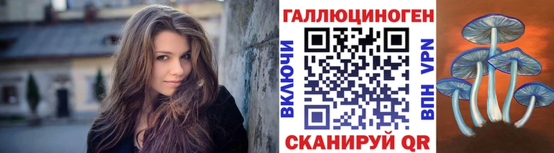 Галлюциногенные грибы Psilocybe  Купить  Богородицк 